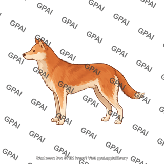 Dog new guinea singing dog