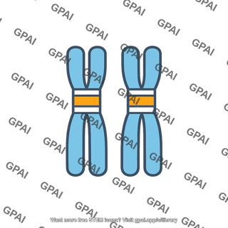 Homozygous genotype
