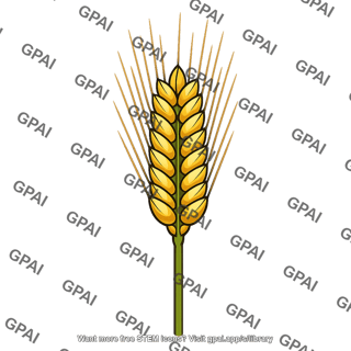 Wheat head