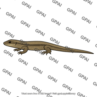 Lizard