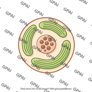 Symbiotic dinoflagellate breviolum minutum