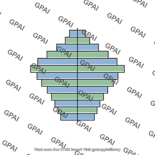 Population age pyramid