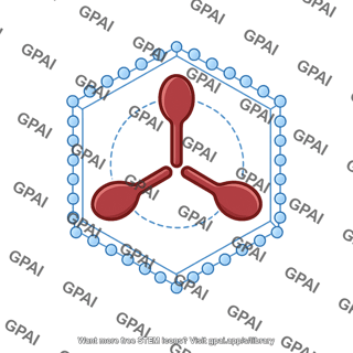 Hepatitis b glycoprotein 2