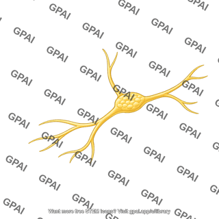 Mouse trigeminal ganglion