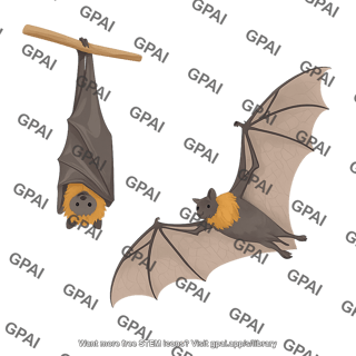 Flying foxes pteropus roosting