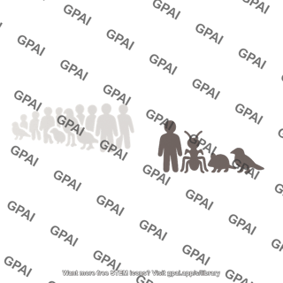 Founder event colonist group