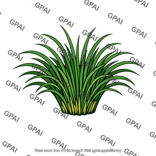 Perennial bunchgrass