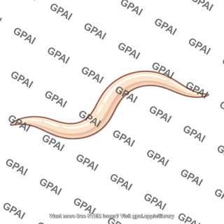 Nematode