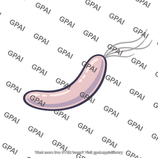 Desulfovibrio