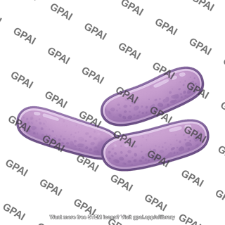 Lactobacillus 1 716