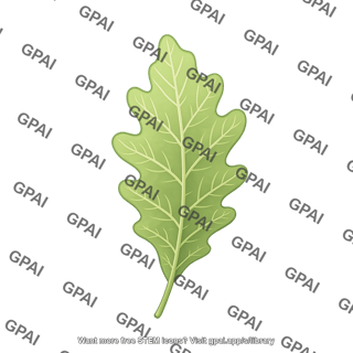 Leaf undulate 1