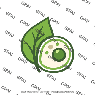 Avocado and leaf