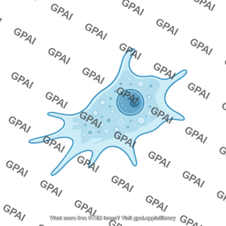 Naegleria fowleri trophozoite