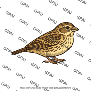 Euplectes progne female
