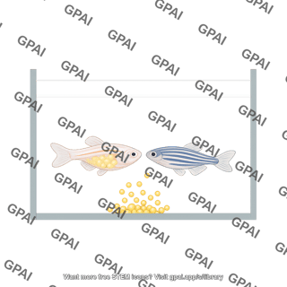 Zebrafish in tank breeding