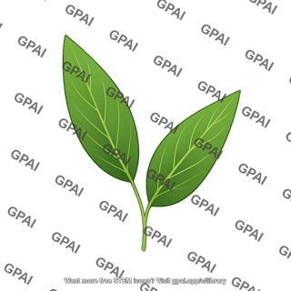 Soybean leaf lanceolate