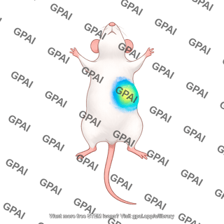 Mouse supine tumor bioluminescent