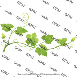 Gourd plant vine stage