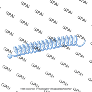 Viral genome coiled long