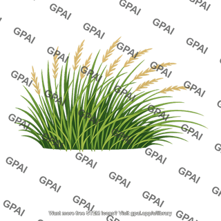 Prairie vegetation