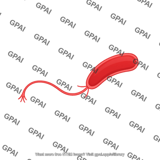 Caulobacter crescentus swarmer stage