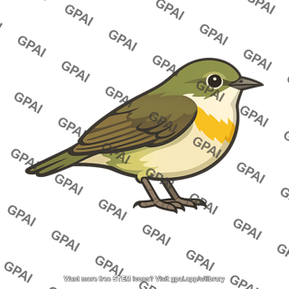 Bird endemic bright plumage