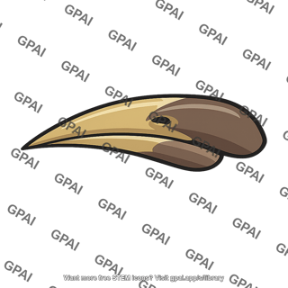 Bird beak