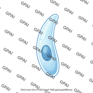Cryptosporidium sporozoite 1