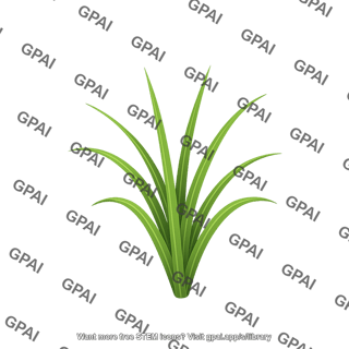 Rice plant young