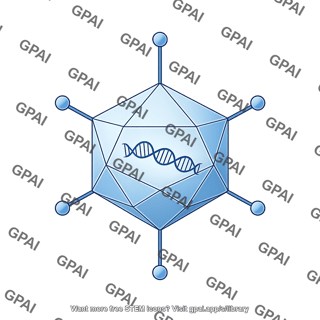 Adenovirus with dna
