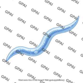 C. elegans
