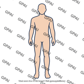 Human body