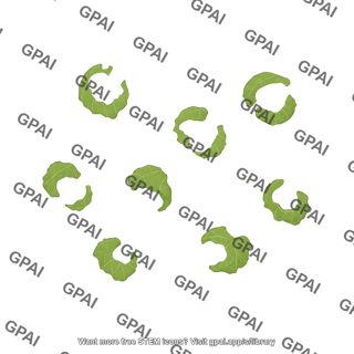 Chestnut leaf holes