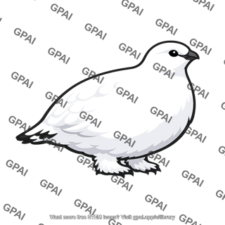 Ptarmigan
