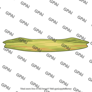 Lowland