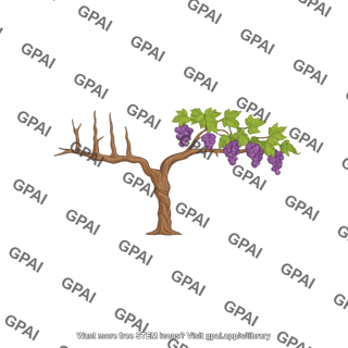 Grape vines half