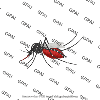Mosquito yellow fever aedes aegypti