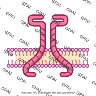 Respiratory syncytial virus small hydrophobic protein
