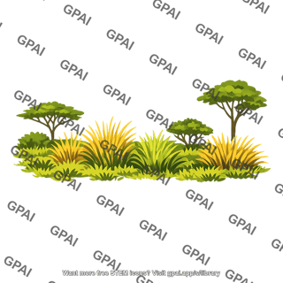 Tropical grassland