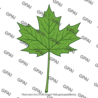 Maple leaf