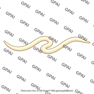 Roundworm