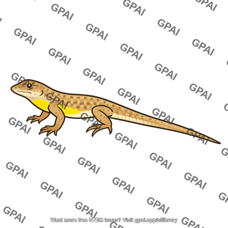 Side blotched lizard yellow morph