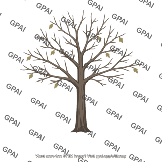 Forest tree denuded