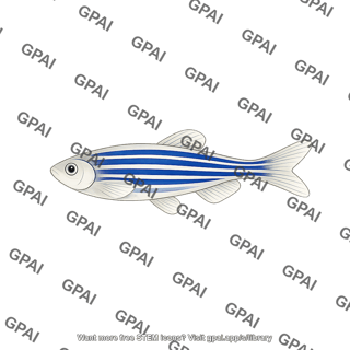 Zebrafish male