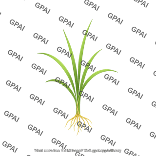 Rice seedling 2 01