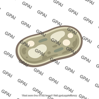 Decomposer microbe