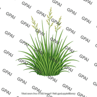 Grass with flowering stems