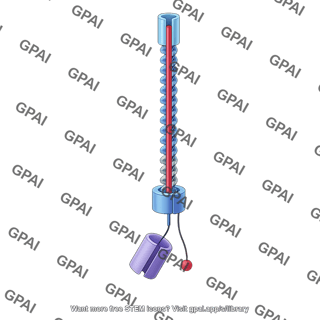 Type 5 secretion system