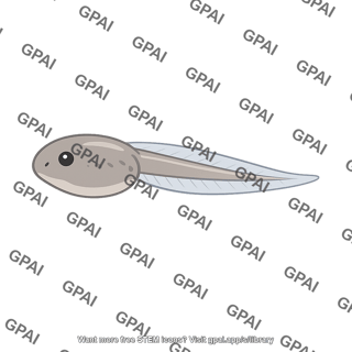 Tadpole early