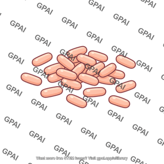 Rod shaped bacteria